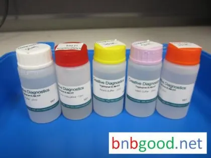 Lixisenatide ELISA Kit