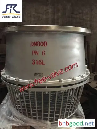 Stainless Steel Flanged Foot Valve with Strainer