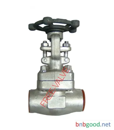 Forged Stainless Steel Globe valve  Class 800 Socket Welded