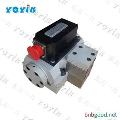 Dongfang yoyik NON-RETURN VALVE S10P5.0