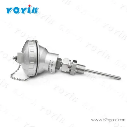 YOYIK Temperature sensor, Pt100 WZPK2-338S