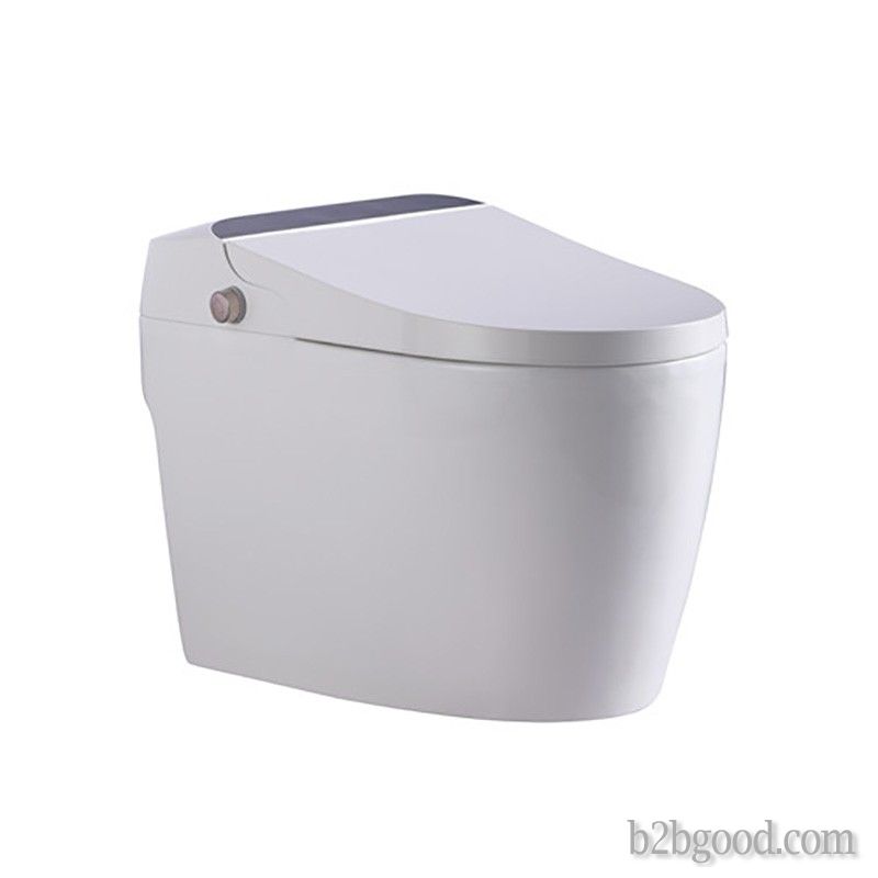 Fani shield intelligent toilet integrated remote control automatic flushing water cistern function i