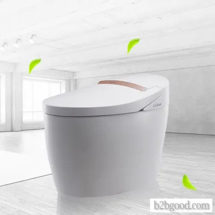 A WEIZHUO WZ11A101 energy-saving integrated cistless toilet, which is a multifunctional washing-dryi