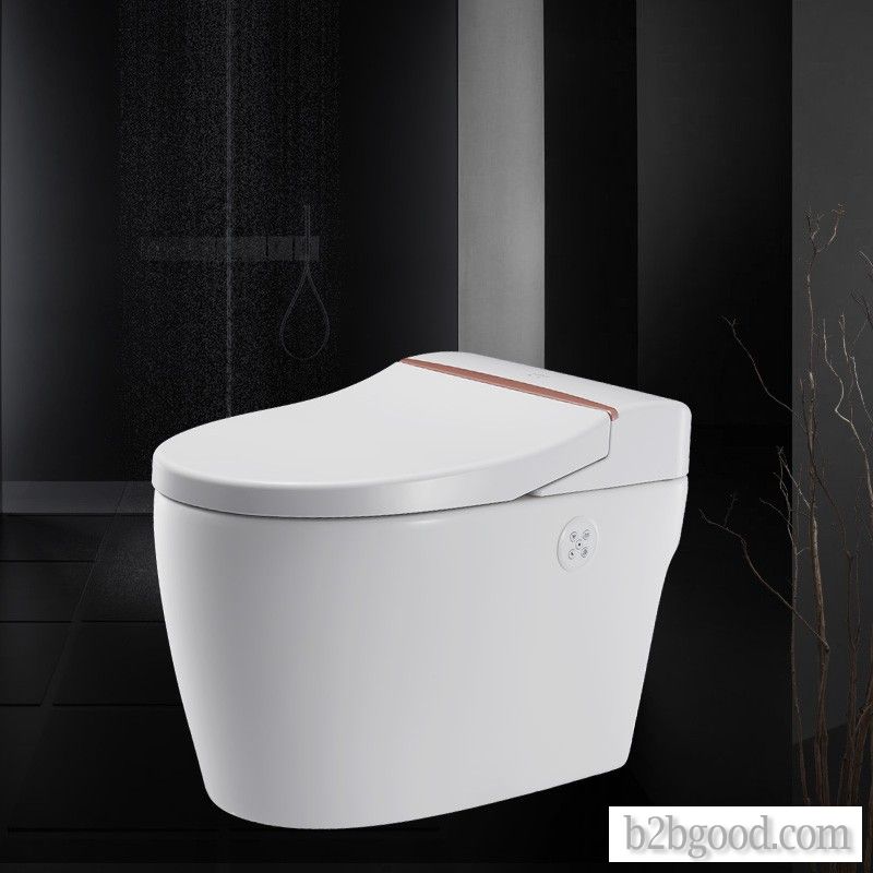 A WEIZHUO WZ12A102 energy-saving all-in-one water-tankless toilet, which is a multifunctional washin