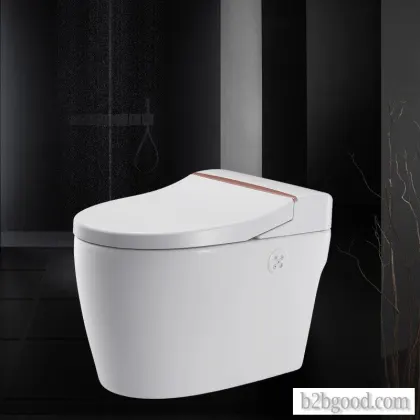 A WEIZHUO WZ12A102 energy-saving all-in-one water-tankless toilet, which is a multifunctional washin