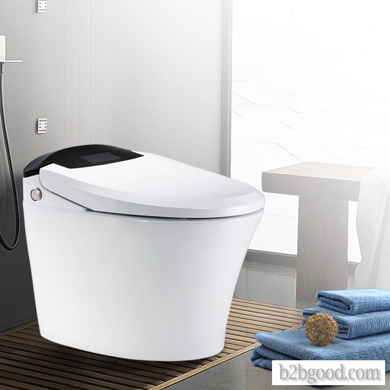 WEIZHUO WZ13A109, an energy-saving integrated water-less tank, is a multifunctional toilet with auto