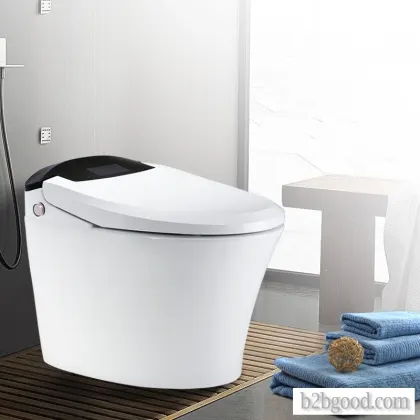 WEIZHUO WZ13A109, an energy-saving integrated water-less tank, is a multifunctional toilet with auto
