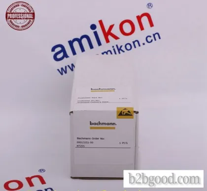 BACHMANN WT92 | 6 Panel Unstructured