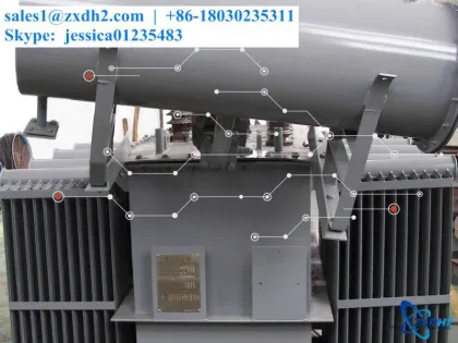 Alkaline electrolyzer with water electrolysis electrode