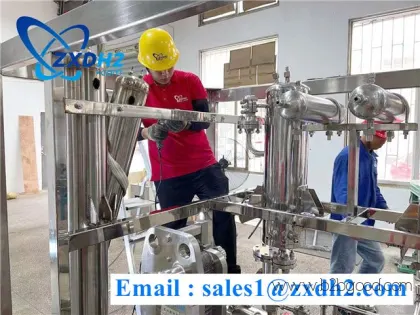 Hydrogen production control system / hydrogen purification system