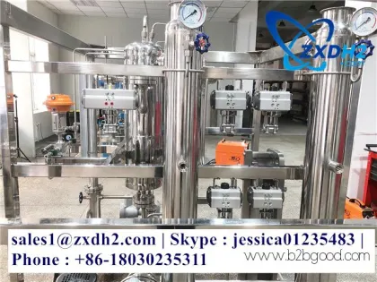 Ultra-High Purity Hydrogen Generator / 2011 Founded in China xiamen