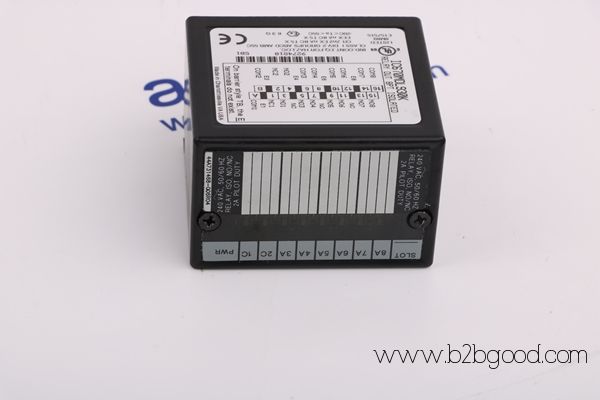 GENERAL ELECTRIC DS200SHVMG1A / DS200SHVMG1A