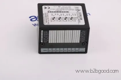 GENERAL ELECTRIC DS200FSAAG1A / DS200FSAAG1A