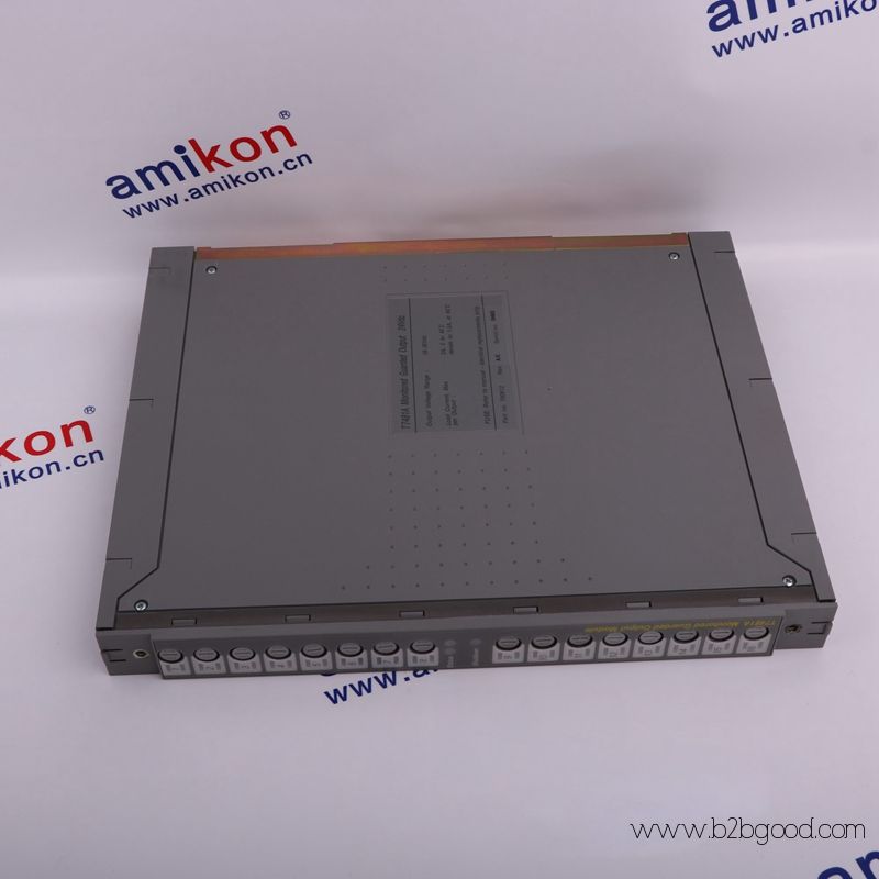 ICS TRIPLEX T8110B