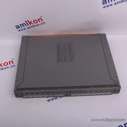 ICS TRIPLEX T8110B