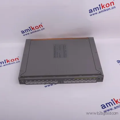 ICS TRIPLEX T8191