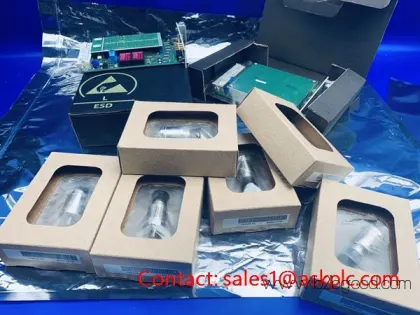 本特利内华达125720-02新