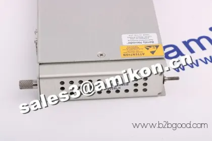 Bently Nevada 02200794 24 VDC电源显示器（全套）