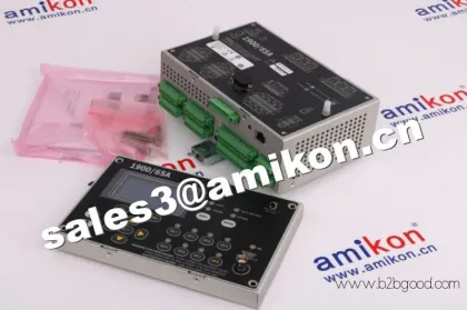 Bently Nevada 330101-00-19-10-02-00