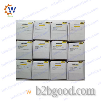 AIO288 Bachmann Analog Input or Output Module