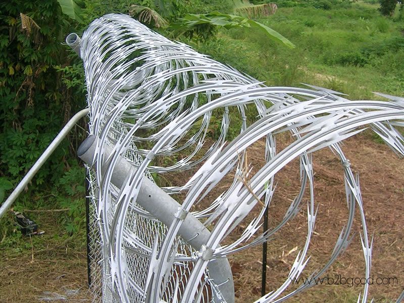 Razor Wire