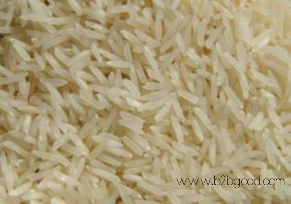 Rice IRRI-6