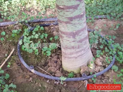 Quality tubes out of Henan. Prices out of tubes out. Pictures.