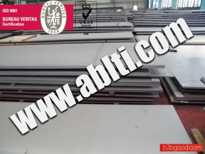 titanium plate